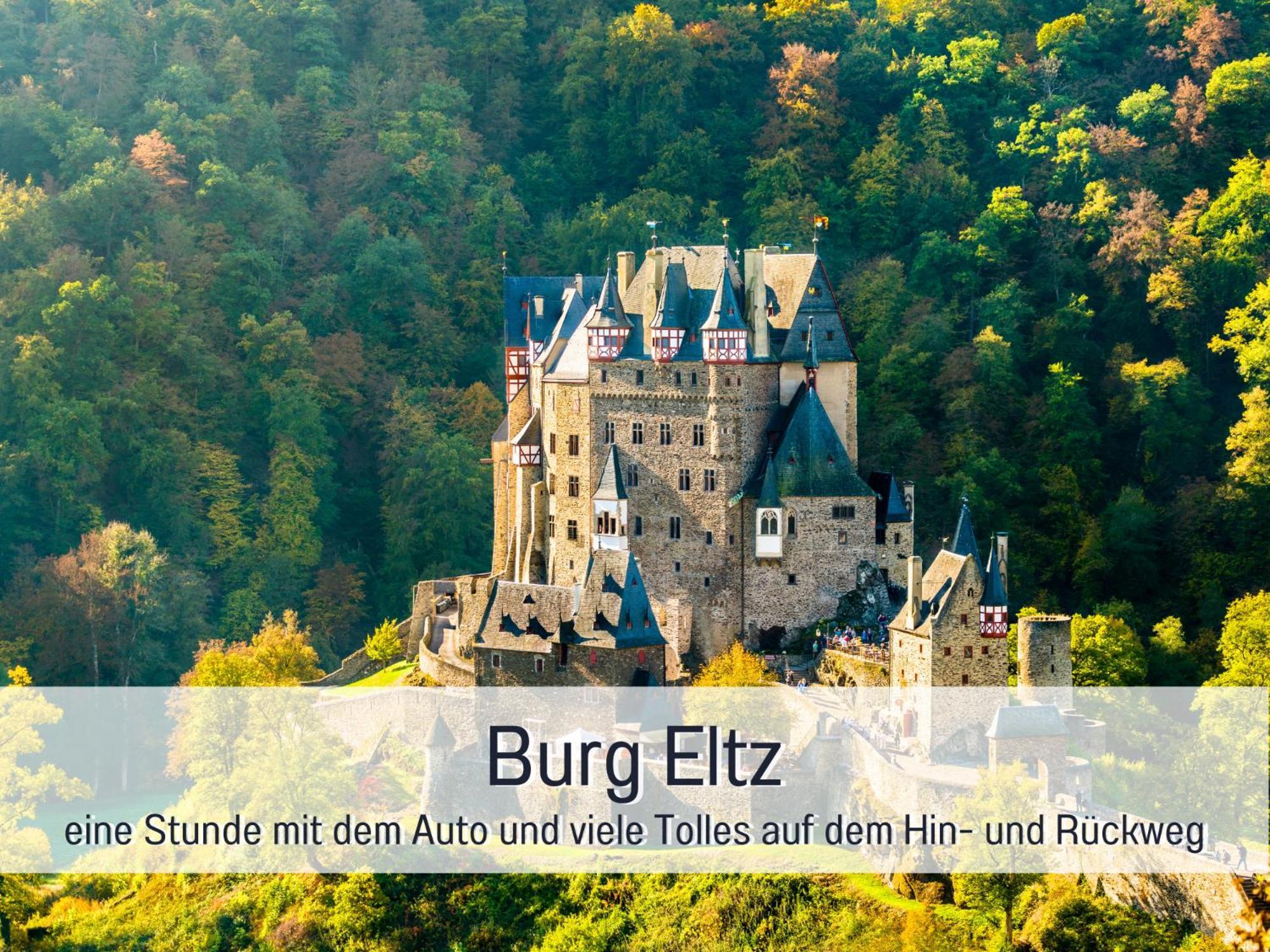 Ferienhaus Schwaab-Scherr, Genau Zwischen Bernkastel-Kues Und Traben-Trarbach, Mit Kostenlosem Oepnv-Ticket Fuer Bus Und Bahn, Parkplaetzen Und Fahrradgarage Erden Exterior foto