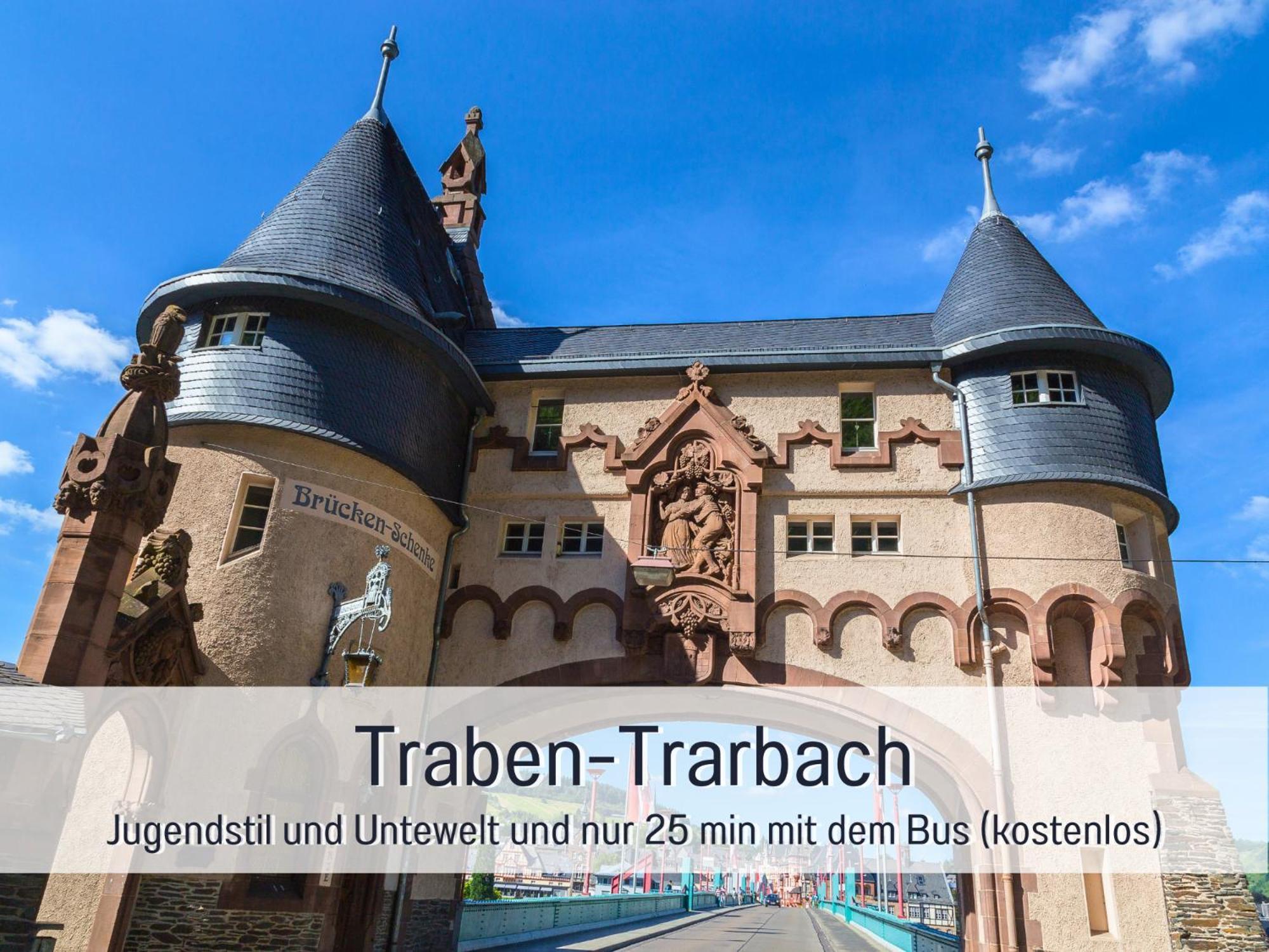 Ferienhaus Schwaab-Scherr, Genau Zwischen Bernkastel-Kues Und Traben-Trarbach, Mit Kostenlosem Oepnv-Ticket Fuer Bus Und Bahn, Parkplaetzen Und Fahrradgarage Erden Exterior foto